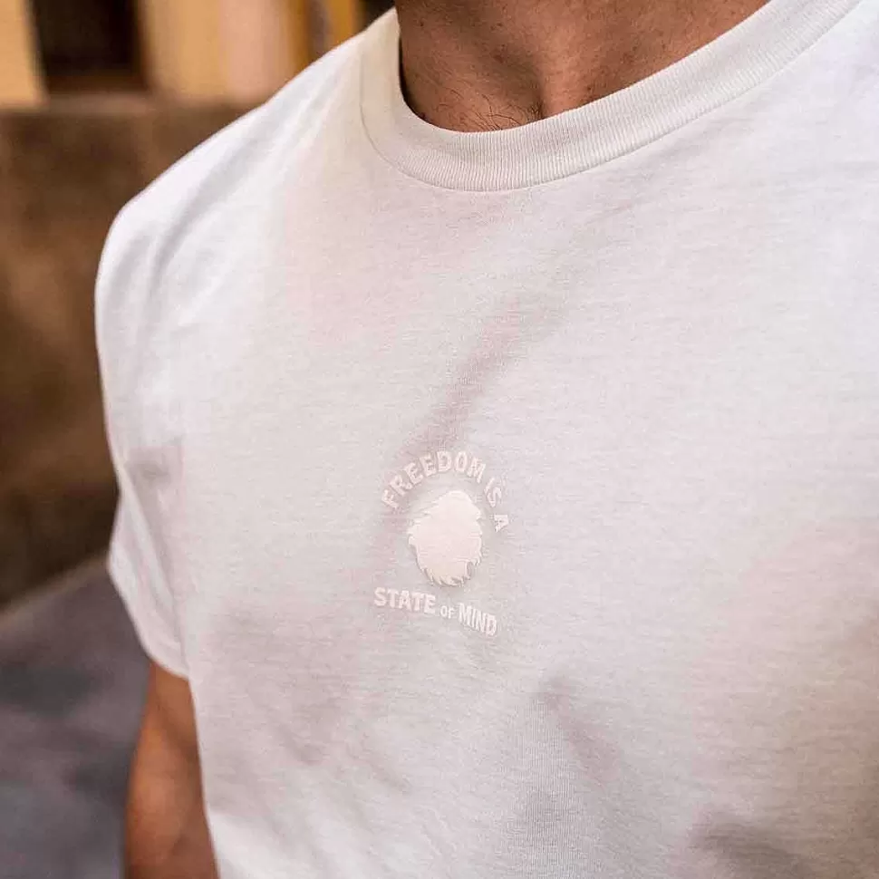 T-Shirt In Cotone Biologico Vestibilita Regolare | Stato Cristallino Della Liberta Verde>Satorisan Sale